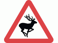 Wild animals likely to be in road ahe...