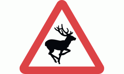 Wild animals likely to be in road ahead - DOT 551