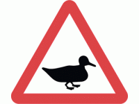 Wild fowl likely to be in road ahead ...