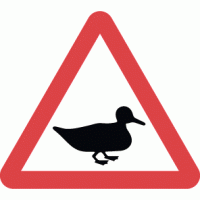 Wild fowl likely to be in road ahead - DOT 551.2