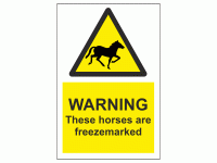 WARNING These horses are freezemarked...