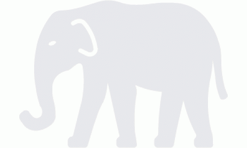 Elephant Glass Awareness Stickers