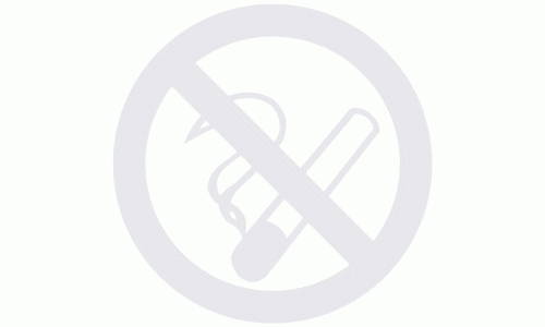 No Smoking glass awareness safety sticker