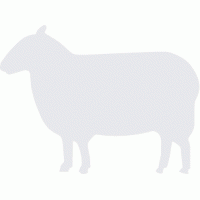 Sheep Glass Awareness Sticker