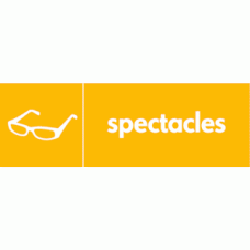 spectacles icon 